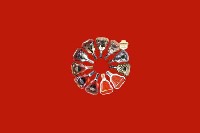 贵池区回收红酒